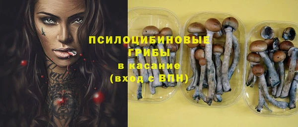 твердый Алзамай