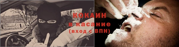 твердый Алзамай
