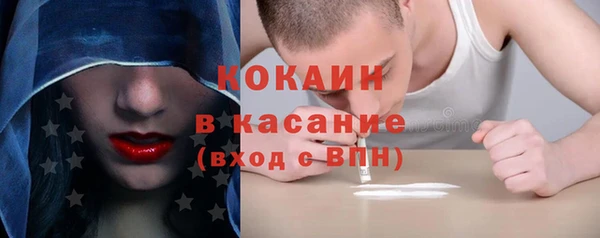 гидра Майский