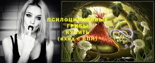 марки lsd Алексеевка