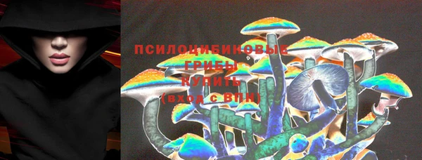 твердый Алзамай