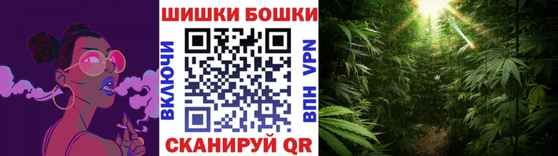 где продают наркотики  Неман  Шишки марихуана SATIVA & INDICA 
